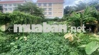 ĐẤT VIP - KHU BIỆT THƯ TRIỆU ĐÔ - NHỊ BÌNH - 200M2 - CHỈ 4.X