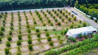 BÁN ĐẤT XÂY TRỌ GẦN KHU CÔNG NGHỆ CAO