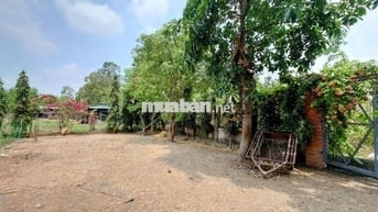 1700m2 đất xây nhà vườn, có 300m2 thổ cư
