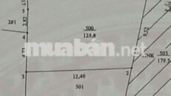Bán lô kiệt Hòa Xuân gần Chợ Đầu Mối và bến xe Đức Long Đà Nẵng