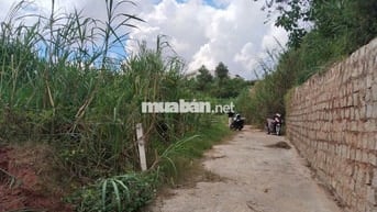 Bán đất hộ khẩu tp Đà Lạt. Đường bê-tông oto tận nơi, chỉ 650tr.