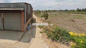 🌟 BÁN GẤP – ĐẤT THỔ CƯ GIÁ TỐT – VÀO HẺM 300M 🌟