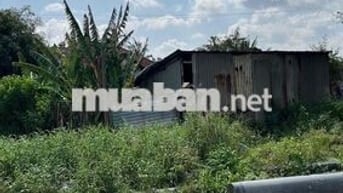 XE TĂNG NÉ MẶT TIỀN SÔNG VÀM THUẬT VƯỜN LÀI AN PHÚ ĐÔNG VỊ TRÍ CỰC KỲ