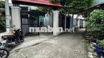 Nhà Vườn 8x20 Sổ Riêng Full Thổ Cư Cách Hương lộ 15 - 300m