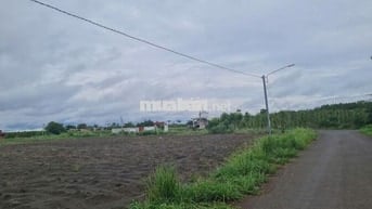 BÁN SỈ 5 LÔ ĐẤT NGỘP – XÃ TÂN TIẾN, MẶT NHỰA, QL14C, NGAY TTHC