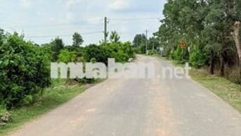 Chính chủ cần bán lô đất ngay Đường Long Chiến, shr full thổ cư