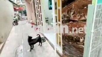 Bán nhà căn góc hẻm 26 Đổ Quang Đẩu Q1