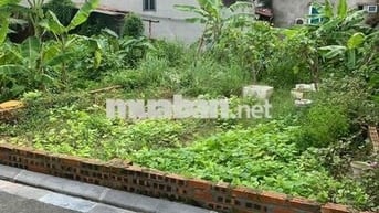 đất đẹp gần cầu nhật tân, công viên kim quy, tháp tài chính