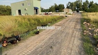 Gia đình cần bán lô đất đsh ngang 5 dài 20 trong khu dân cư đông đúc