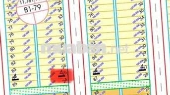 Cồn đâu 23 lô 24 vs 25 kẹp vệt cây xanh . Giá 13 tỷ, đông nam