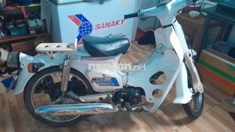 Bán cub đẹp 1997 bstp