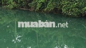 anh trai muốn chuyển công tác bán gấp nhà vườn 2000m2 giá 390tr