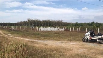 Quá Ngộp bán gấp lô đất 2 MT, Thạnh Đức, Gò Dầu,TN, 272m2, giá 825 tr