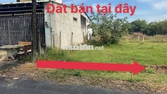 Bán Gấp Đất 90m² Xã Thái Mỹ, Củ Chi – Sổ Hồng Riêng, Giá Chỉ 450 Triệu