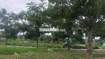 🌳 SỞ HỮU NGAY LÔ ĐẸP – ĐỐI DIỆN CÔNG VIÊN, CẠNH KHU DÂN CƯ HIỆN HỮU 🌳