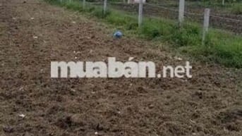 BÁN ĐẤT QUẬN 12 GIÁ TỐT - Khu vực phát triển mạnh, lợi nhuận cao
