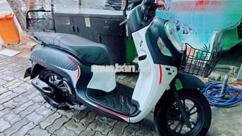 Xe scoopy 2024 mới đi 1100km ,như xe mới ạ