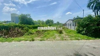 ĐẤT KCN TÂN PHÚ TRUNG, 8MX 38M, GIÁ NGỘP 475 TRIỆU, CÒN THƯƠNG LƯỢNG