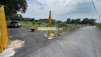 Bán đất xã Nhuận Đức, Củ Chi, DT 100m*26m, đường nhựa 7m, QH đất ONT