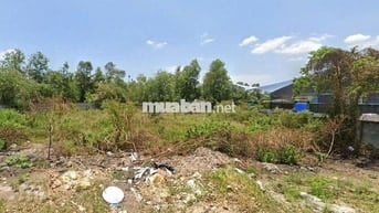 Cần tiền bán mảnh đất 1300m Nguyễn Thị Định giá tốt cho nhà đầu tư
