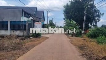 ĐẤT RẺ _GIÁ ĐẦU TƯ_ PHƯỜNG BÌNH LỘC _LONG KHÁNH