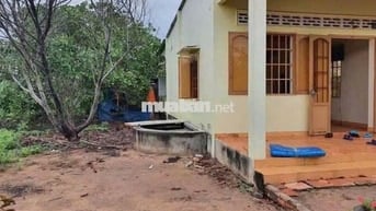 Chủ ra đi căn nhà vườn 2500m2 giá ngộp 550tr