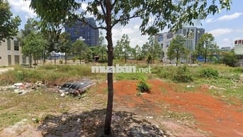 Chính chủ bán đất mặt tiền 500m² – Trục đường Nguyễn Thị Định, Phú Mỹ