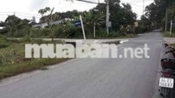 Tui chủ k tiếp cò , bán gấp 1082m2 đất Tân Phú Trung Củ chi Bệnh Viện