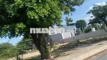 Bán gấp, Giá thấp lô đất đẹp 146.8m2, 4,2 tỷ tại Trần Hải Phụng