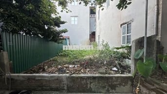 45m2 đất Đại Cát, vuông đẹp như tờ A4, ô tô đổ cạnh đất