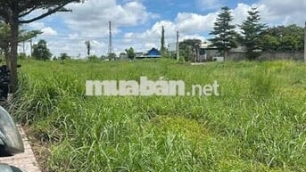 ĐẤT NỀN AN PHƯỚC – CƠ HỘI SỞ HỮU CHỈ VỚI 2 TỶ 6