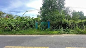Bán đất mặt tiền đường Ông Binh, Bình Lợi – Vĩnh Cửu, Đồng Nai