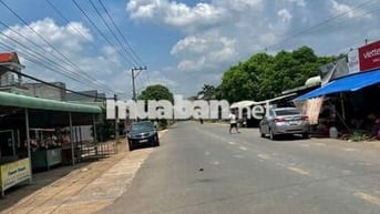 Đất Chú Năm cần bán gấp trả nợ 💥 ngân hàng, diện tích 300m2 thổ cư