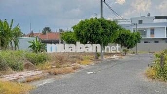 Đât mặt tiền nhựa gần trường Bưu điện 3 thuôc Tân Mỹ Chánh Mỹ Tho
