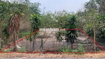 Bán đất 328m2 giá 680 triệu ngay gần KCN Linh Trung 3, An Tịnh, SHR