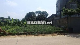 Bán Đất - Thắng Trí(Minh Trí) - 108M2 Full Thổ Cư - 2,45 Tỷ - Trục KD