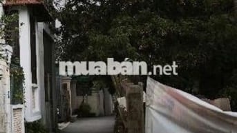 BÁN ĐẤT - TRÂU QUỲ - HÀ NỘI - Ô TÔ - GÓC - 2 MẶT TIỀN - VUÔNG ĐẸP