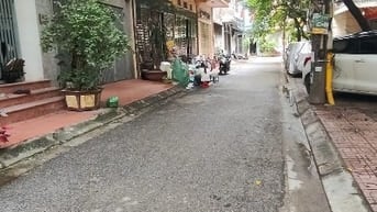 Phân lô QKTĐ Vĩnh Phúc, kiểu thiết kế Pháp cổ, vỉa hè rộng, ô tô tránh