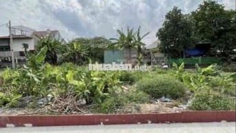 Bán ngộp đất dt 67,5m2 giá 835tr Hóc Môn