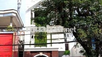 Cho Thuê Nhà Đường Trương Công Định, Tân Bình ( 12x35m - CHDV / KS )