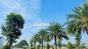 Đất nền 90m2 - 1ty890 đường Nguyễn Hữu Trí có sổ riêng.