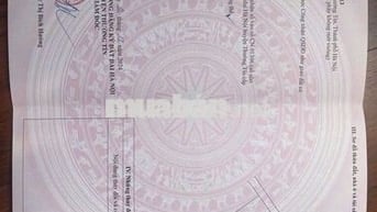 🚀 ĐẤT Xâm Xuyên - Hồng Vân - Thường tín - HÀ NỘI 
🪴 Diện tích : 61m