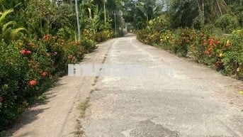 Đất nền thổ cư 100%, gần bến phà Cô Bắc, trung tâm hành chính Bình Tân