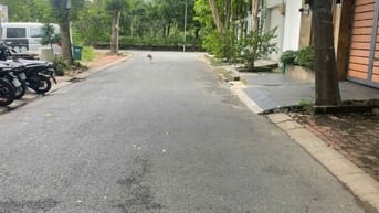 Nền Biệt Thự Vị Trí Đẹp Khu Nam Long Phú Thuận Q7 DT 8x20m