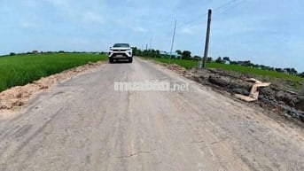 Chính Chủ Bấn Đất Cần Đước Giá Cực Rẻ (Giá 100%)