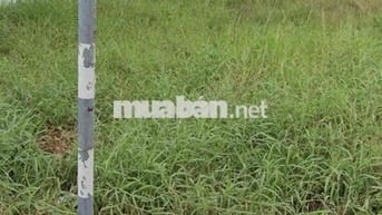 Kẹt vốn làm ăn bán đất dt 111,5m2 giá 785tr Long An