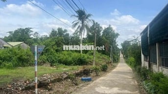 Cần bán lô đất mặt tiền Quốc Lộ 20. xã Phú Ngọc. Định Quán.
