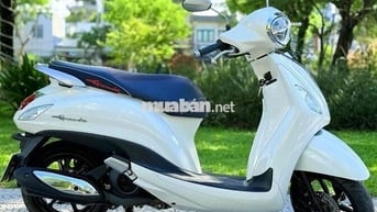 Grande 2020 đèn led. biển 43