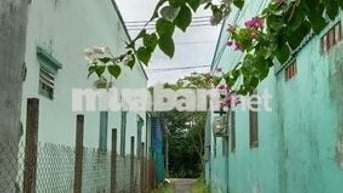 Bán 100 đất thổ cư, đường Đinh văn ước, xã hưng long tp hồ Chí Minh