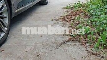 Bán Nền liền kề với KĐT Phú Quý - Phú Cường